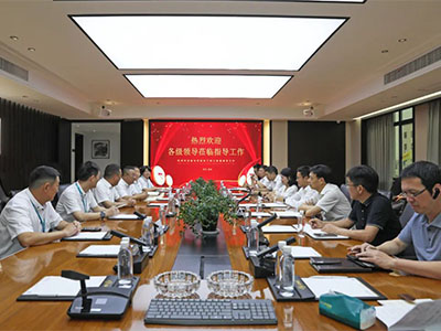 拼经济 促发展！温州湾新区党工委副书记谢忠诚率队赴集团开展调研督导活动